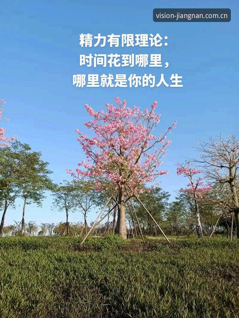 江南体育周边赛程推荐手机版 4个理由告诉你:为什么看赛程推荐要选择手机版